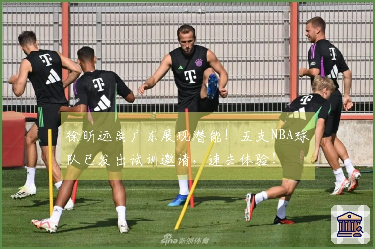 徐昕远离广东展现潜能！五支NBA球队已发出试训邀请，速去体验！